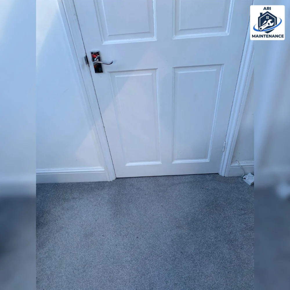 White panel door + grey carpet